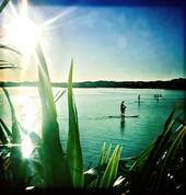 Cruising at Orewa Estuary