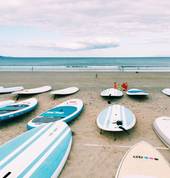 Supshed Board Meeting