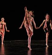 The Dance House Judea (3110) Ballet Dancing Schools 3_small