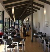 Matheson Café Fox Glacier Fox Glacier (7886) Family Holidays 4_small