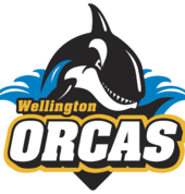 Wellington Rugby League Seaview (5010) Rugby League Clubs 1_small
