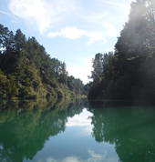 New Zealand River Jet 2004 Limited Broadlands Forest (3081) Adventure 2_small