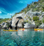 Maori Carving Tour