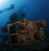 HMNZS Canterbury wreck dive