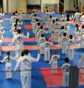Warrior Taekwon-Do Ellerslie (1051) Taekwondo Clubs 1_small