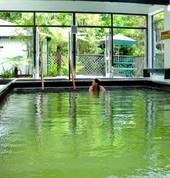 Large Indoor Pool
