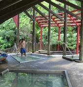 Nikau plunge pools