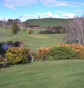 Tirau Golf Club Tirau (3410) Golf Clubs 1_small