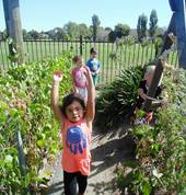 Ready Steady Play Preschool Burwood (8083) Preschools 3_small