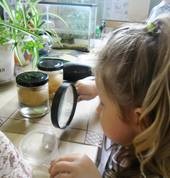 Ready Steady Play Preschool Burwood (8083) Preschools 4_small