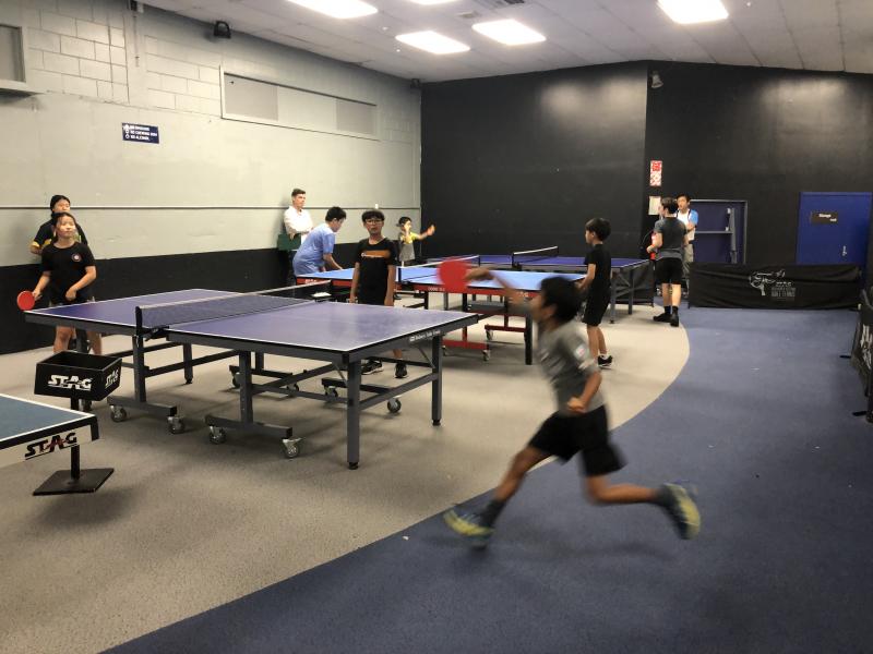 North Shore Table Tennis Club Glenfield Table Tennis Clubs for Kids ActiveActivities