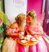 The Fairy Shop Ponsonby (1011) Party Hire 2_small