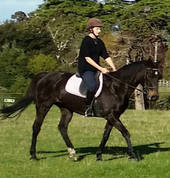 Alice and Cola from Pony Rides
