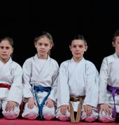 Little Lions Karate Blockhouse Bay (0600) Karate Clubs 2_small