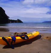 Paddle your self away ....