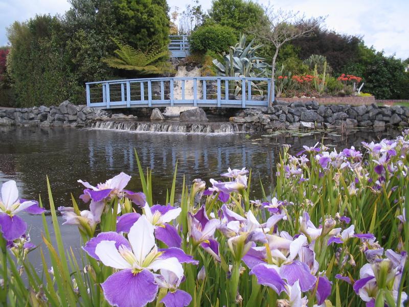 Ngatea Water Gardens Attractions for Kids ActiveActivities