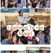 This September 14-21 // 14-21 o Hepetema, we mark 50 years of Te Wiki o te Reo Māori  What our kaiako love to take this as an opportunity to acknowledge and learn a bit of the Māori language and culture with our tamariki.  It will be also excellent exampl