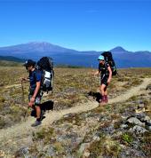Social Nature Movement Mount Eden (1024) Adventure 4_small