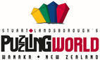 Puzzling World