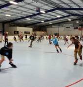 Hamilton Inline Hockey Club