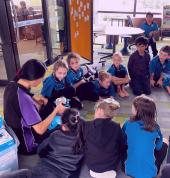 Coding & robotics class after-school