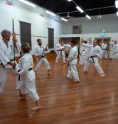 Advanced black belt training