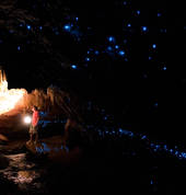 Thousands of glittering glowworms in Nikau Cave