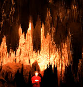 Amazing ancient formations in Nikau Cave
