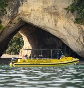 Cathedral Cove Boat Tour