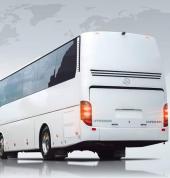 Texas Party Bus Christchurch (7674) Party Hire 3_small