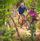 Beginner to Advanced Graded Tracks