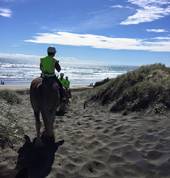 Muriwai Beach Horse Treks Muriwai Beach (0881) Outdoor & Adventure School Holiday Activities 2_small