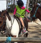 Muriwai Beach Horse Treks Muriwai Beach (0881) Outdoor & Adventure School Holiday Activities 5_small