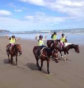 Muriwai Beach Horse Treks Muriwai Beach (0881) Outdoor & Adventure School Holiday Activities 1_small