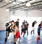 Crazy Monkey Defense New Zealand Johnsonville (6037) Martial Arts Academies 1_small