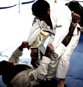 Crazy Monkey Defense New Zealand Johnsonville (6037) Martial Arts Academies 2_small