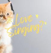 Whangarei Vocals Whangarei (0110) Singing Classes & Lessons 1_small