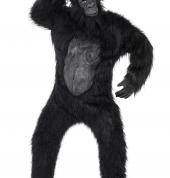 Party Dudes Papamoa Beach (3118) Fancy Dress & Costumes 1_small