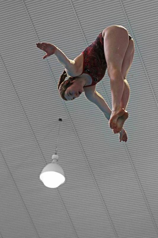 Auckland Diving Community Trust Diving Classes & Lessons for Kids ActiveActivities