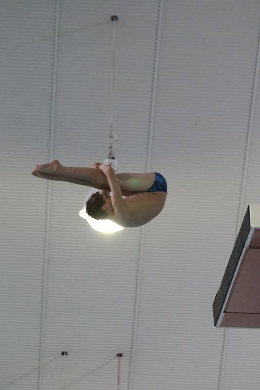 Auckland Diving Community Trust Diving Classes & Lessons for Kids ActiveActivities