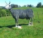 Wellsford Country Show