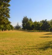 Quinneys Bush Camping in Nelson Motupiko (7072) Camping 3_small