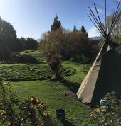 Elemental Rangiora (7400) Fairies 2_small