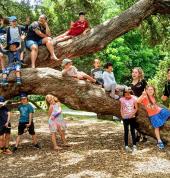 The Village Square School Holiday Programme