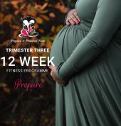 Trimester 3 Online Programme