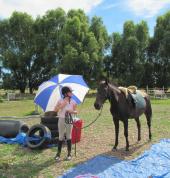 Getting to know each other