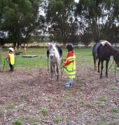 Warming up before heading out on a road ride