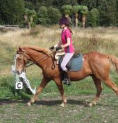 Partnership when riding with or without a bridle/halter.
