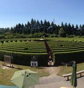 "Have fun - get lost"  in 1.4 klms of hedge maze, accept the challenge!