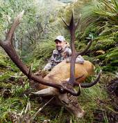 Red Stag free range 6x6 on private land